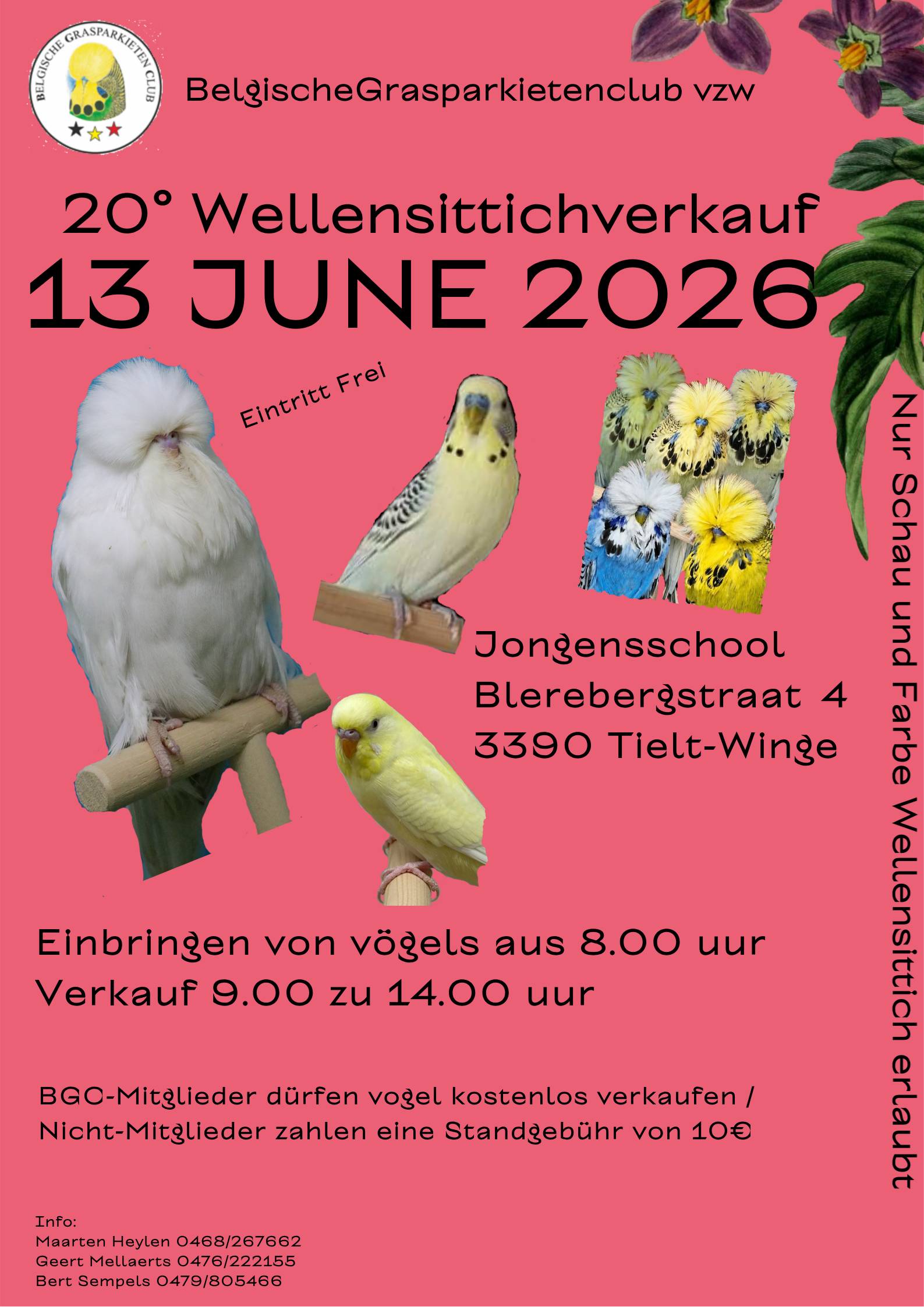 BGC Verkauf 2026