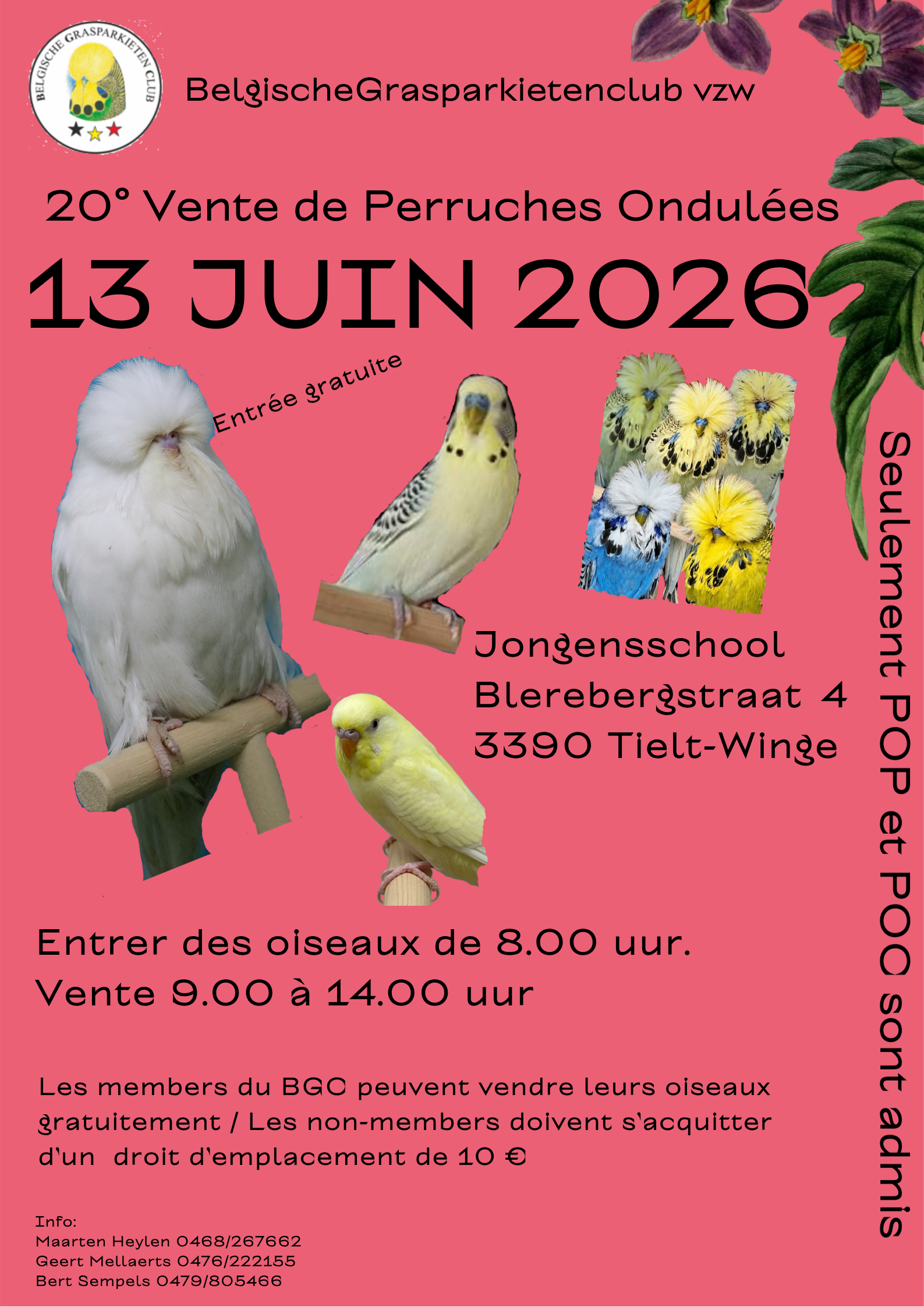 BGC Vente 2026
