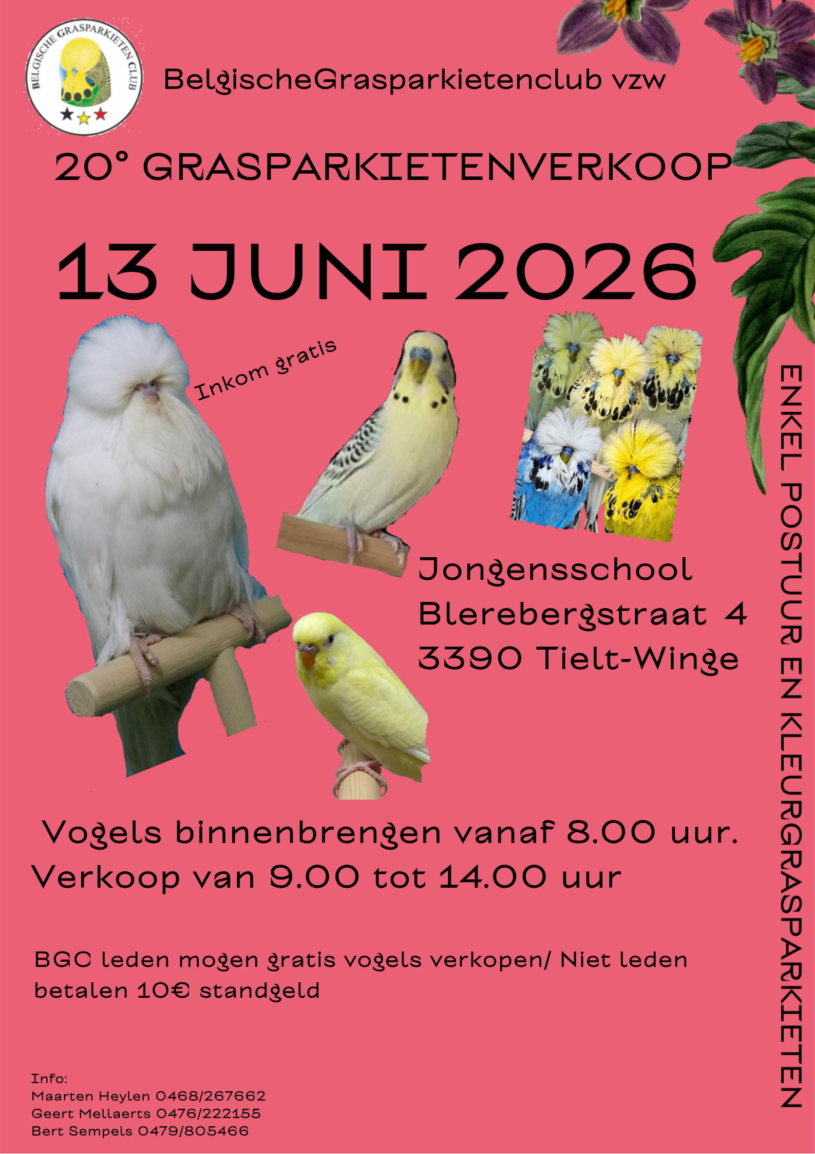 BGC Verkoop 2026